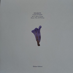 Sharon Van Etten We've Been Going About This All Wrong Vinyl 2 LP USED