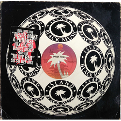 Dru Hill Never Make A Promise (Hex Hector Remixes) / In My Bed Vinyl 12" USED