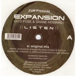 Expansion Listen Vinyl 12" USED