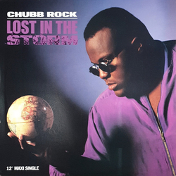 Chubb Rock Lost In The Storm Vinyl 12" USED