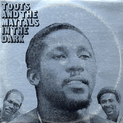 Toots & The Maytals In The Dark Vinyl LP USED