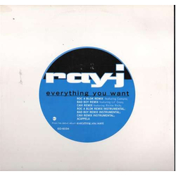 Ray J Everything You Want Vinyl 12" USED