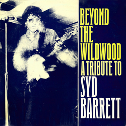 Various Beyond The Wildwood - A Tribute To Syd Barrett Vinyl LP USED