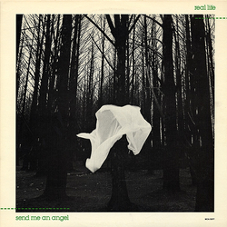 Real Life Send Me An Angel Vinyl 12" USED
