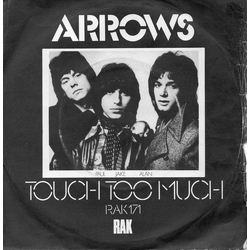 Arrows (2) Touch Too Much Vinyl 7" USED