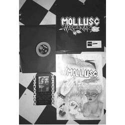 Mollusc Mollusc Vinyl 12" USED