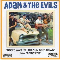 Adam & The Evils Don't Wait 'Til The Sun Goes Down / Point Five Vinyl 7" USED