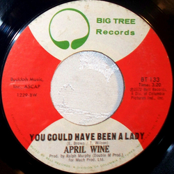 April Wine You Could Have Been A Lady Vinyl 7" USED