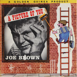 Joe Brown And The Bruvvers A Picture Of You Vinyl LP USED