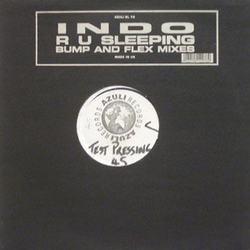 Indo R U Sleeping (Bump And Flex Mixes) Vinyl 12" USED