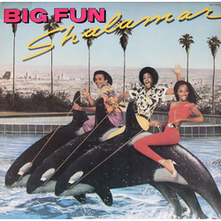 Shalamar Big Fun Vinyl LP USED