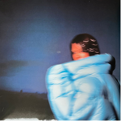 Shygirl Nymph Vinyl LP USED