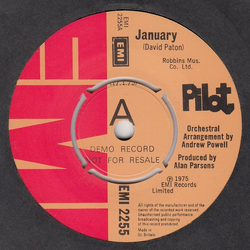 Pilot January Vinyl 7" USED