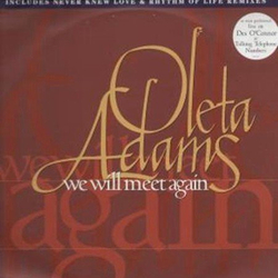 Oleta Adams We Will Meet Again Vinyl 12" USED