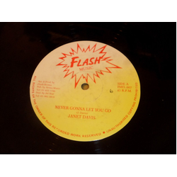 Janet Lee Davis Never Gonna Let You Go Vinyl 12" USED