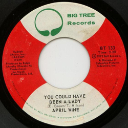 April Wine You Could Have Been A Lady Vinyl 7" USED