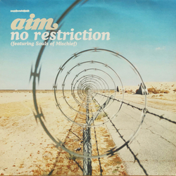 Aim No Restriction Vinyl 12" USED