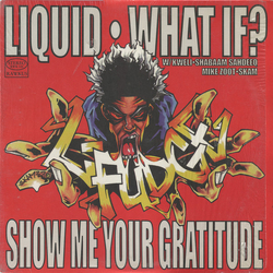 L-Fudge Liquid / What If? / Show Me Your Gratitude Vinyl 12" USED