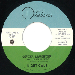 Night Owls (6) After Laughter / Didn't I Vinyl 7" USED