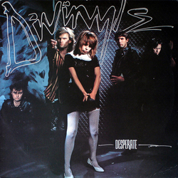 Divinyls Desperate Vinyl LP USED