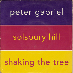 Peter Gabriel Solsbury Hill / Shaking The Tree Vinyl 7" USED