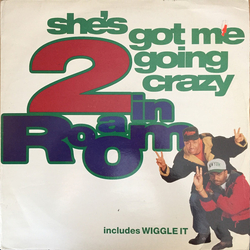 2 In A Room She's Got Me Going Crazy Vinyl 12" USED