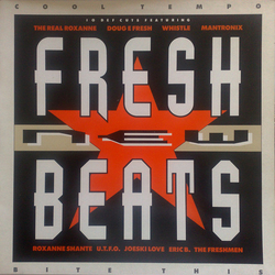 Various Fresh New Beats Vinyl LP USED