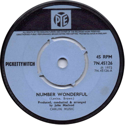 Pickettywitch Number Wonderful Vinyl 7" USED