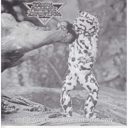 Truth Against Tradition You're Nobody's Slave But Your Own USED VINYL 7INCH
