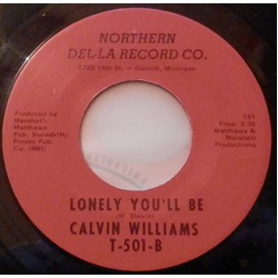 Calvin Williams It Won't Matter At All Vinyl 7" USED