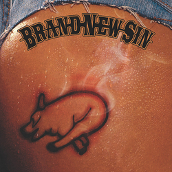 Brand New Sin Brand New Sin Vinyl LP USED