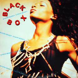 Black Box Everybody Everybody Vinyl 12" USED