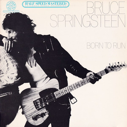 Bruce Springsteen Born To Run Vinyl LP USED