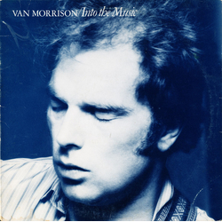 Van Morrison Into The Music Vinyl LP USED