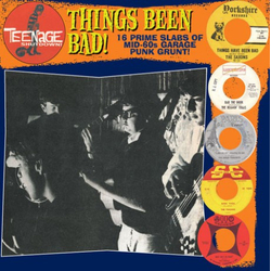 Various Things Been Bad (18 Prime Slabs Of Mid-60s Garage Punk Grunt!) Vinyl LP USED