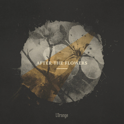 L'Orange After The Flowers Vinyl 12" USED