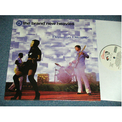 The Brand New Heavies Dream On Dreamer Vinyl 12" USED