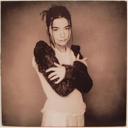 Bjork Human Behaviour Vinyl 12" USED