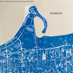 Brokeback Field Recordings From The Cook County Water Table Vinyl LP USED