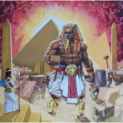 Him-LO Grand Architect Vinyl LP USED