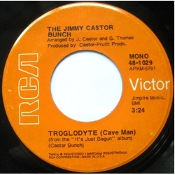 The Jimmy Castor Bunch Troglodyte (Cave Man) / I Promise To Remember Vinyl 7" USED