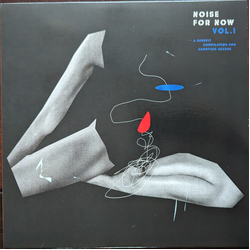 Various Noise For Now Vol. 1 Vinyl LP USED