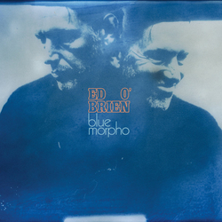 Ed O'Brien Blue Morpho Vinyl LP USED