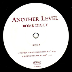 Another Level Bomb Diggy Vinyl 12" USED