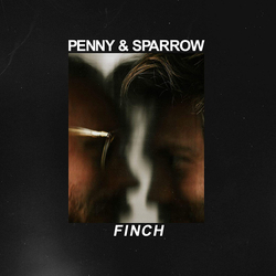 Penny & Sparrow Finch Vinyl LP USED