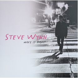 Steve Wynn Make It Right Vinyl LP USED