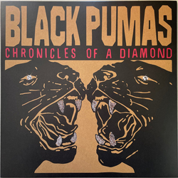 Black Pumas Chronicles Of A Diamond LP Album Cle - USED