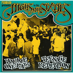 Various Highs In The Mid Sixties Volume 1: L.A. '65 Teenage Rebellion Vinyl LP USED