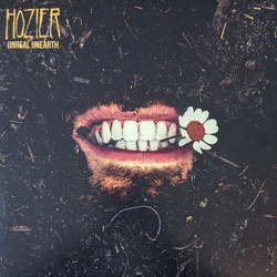Hozier Unreal Unearth 2xLP Album - USED