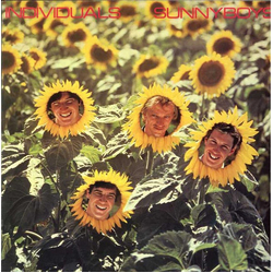 Sunnyboys Individuals Vinyl LP USED